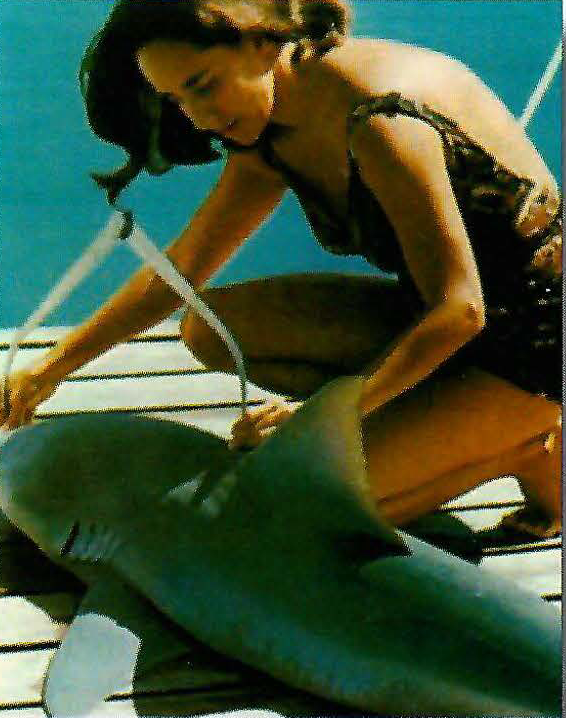 Dr. Eugenie Clark working with a shark from a boat