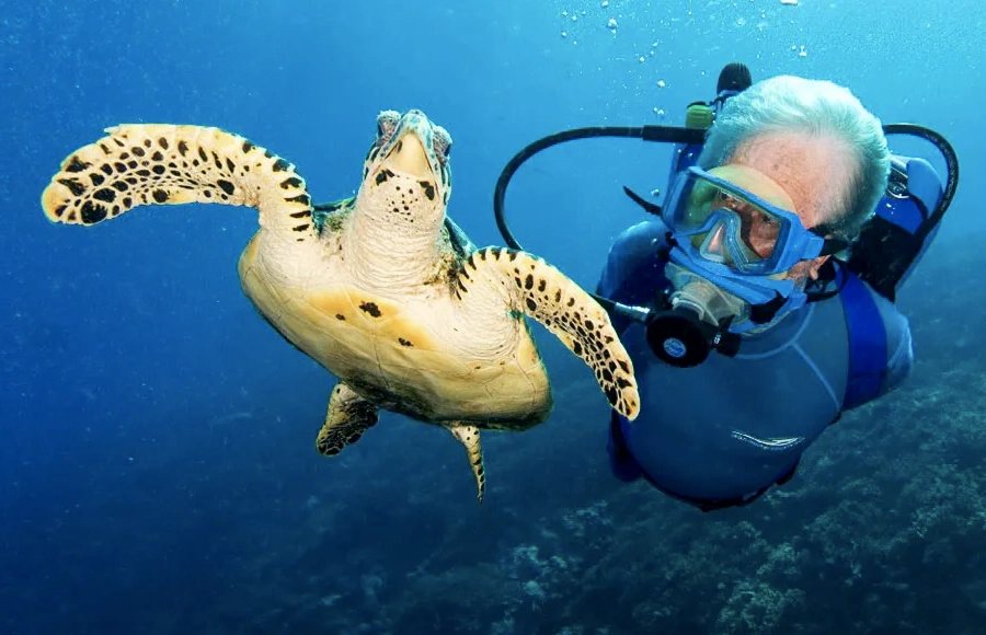 Jean-Michel Cousteau diving beside a sea turtle