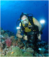 Wayne Hasson underwater with a camera