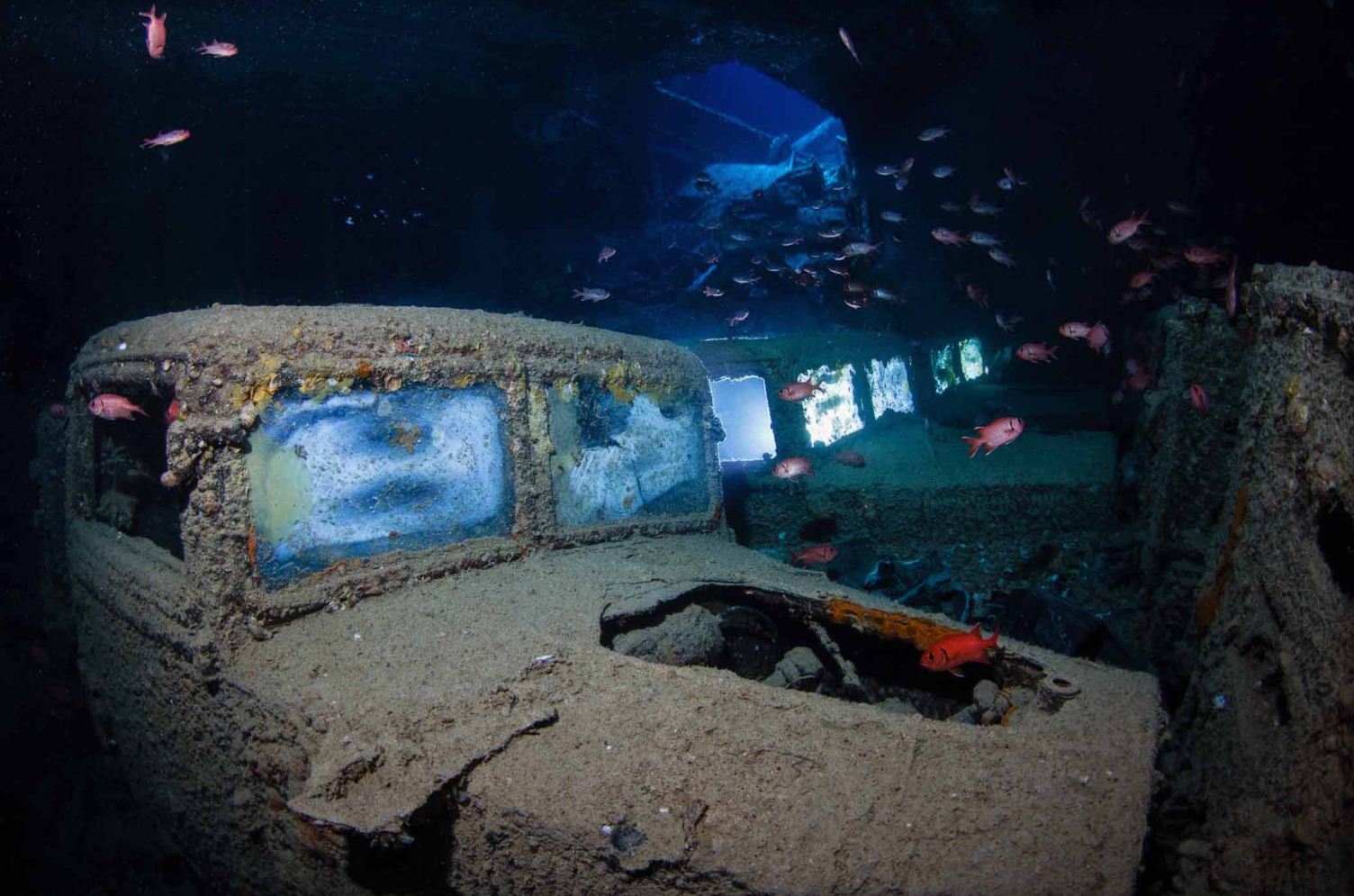First Place: Ghosts of the Past by Philip Sokol