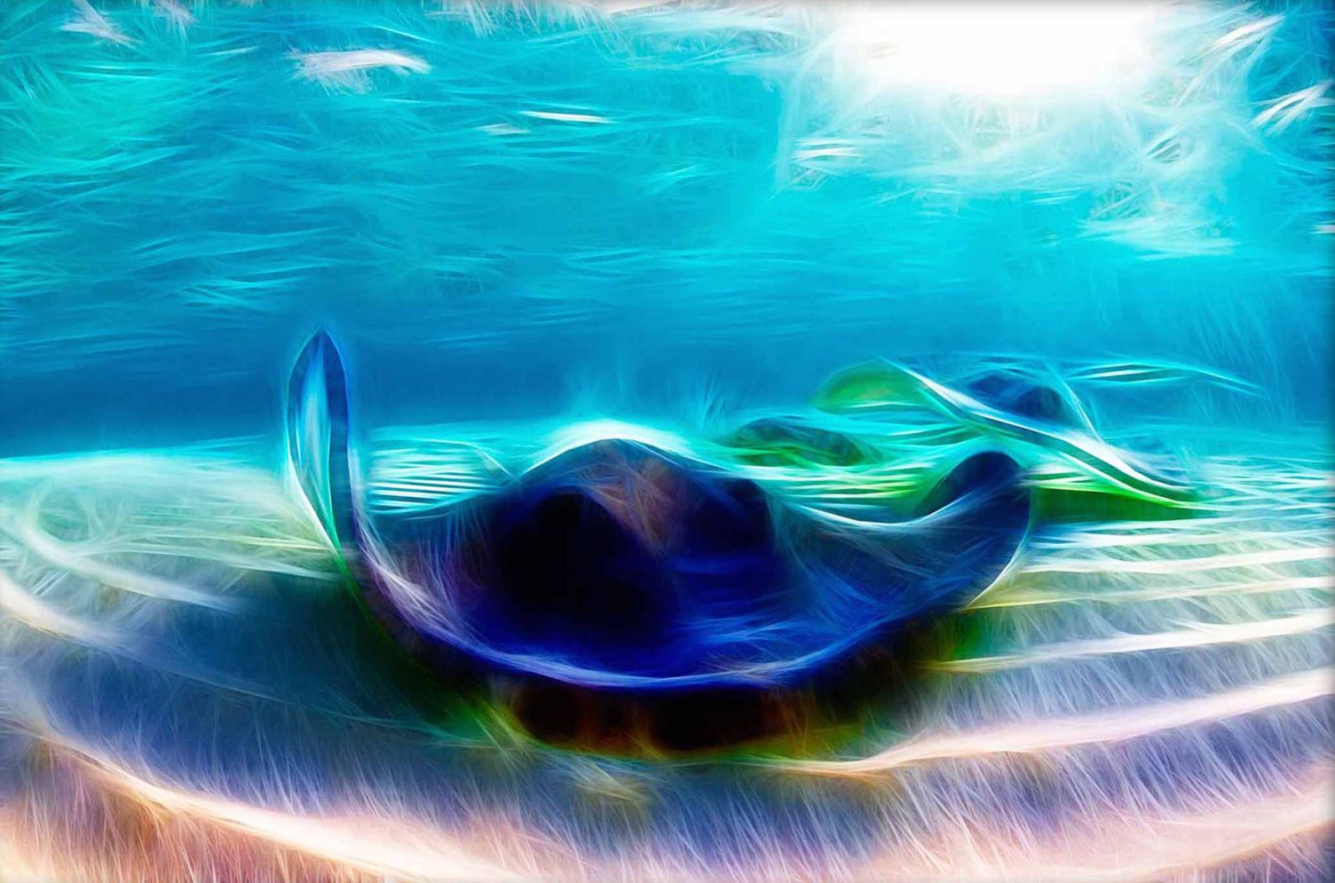 Honorable Mention: Rays by Pietro Cremone