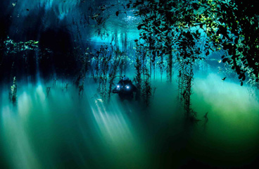 First Place: Enigma by Giordano Cipriani