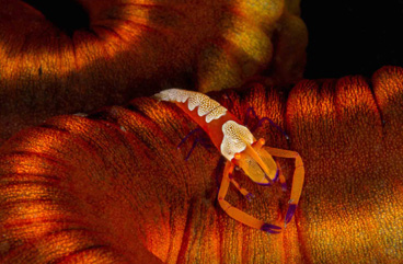 Third Place: Hitchhiker by Andy Deitsch