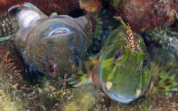 Second Place: What's up? by Judy Townsend