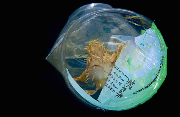 First Place: Live In Garbage by Marco Chang