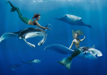 Best In Show Prize: MERMAID FUN by Karen Sweeney