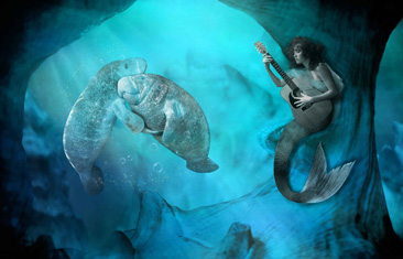 Second Place: Dancing Mermaids by Dennis Vandermeersch