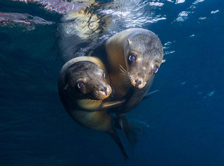 Third Place: Arms Around by Pedro Carrillo