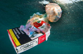 Honorable Mention: SMOKING ALSO DAMAGES THE ENVIRONMENT by Guido Villani