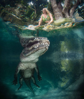 Best In Show Prize: BEAUTY AND THE BEAST by Gregory Sweeney