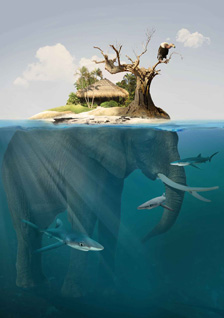 Second Place: TROPICAL ISLAND by Dray van Beeck