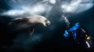 Honorable Mention: Hello Human by Michael Heyns