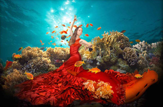First Place: Spanish Dancers by Dray van Beeck