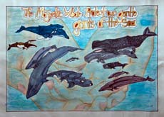 First-place Grades 6-8 whale poster by Anolani Viloria