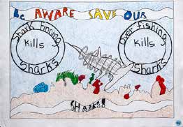 First-place Grades 6-8 shark poster by Jenna P. Landy