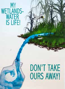 First-place computer-generated Grades 9-12 wetlands poster by Maya Kearns