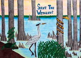 First-place Grades 3-5 wetlands poster by Shelby Roberson