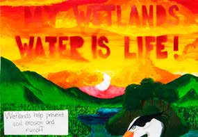 First-place Grades 6-8 wetlands poster by Sophia K. Cleek