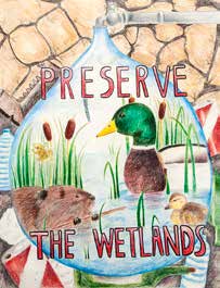 First-place Grades 9-12 wetlands poster by Shyaoman Zhang
