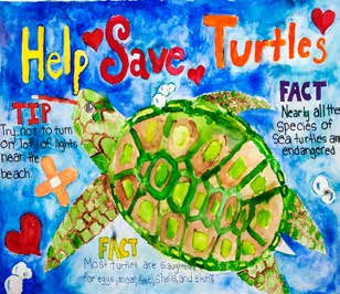 First-place Grades 3-5 Turtle Turmoil poster by Christine Seo