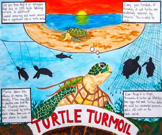 First-place Grades 6-8 Turtle Turmoil poster by Camilla Nguyen