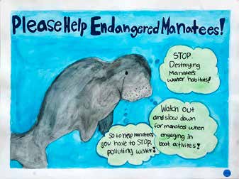 First-place Grades 3-5 Magical Manatee poster by Shine Lee