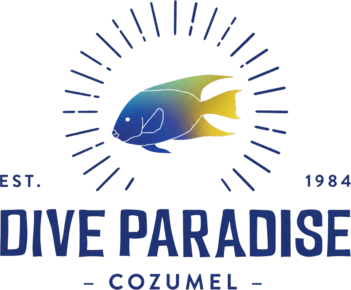 Dive Paradise