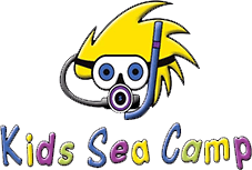 Kids Sea Camp
