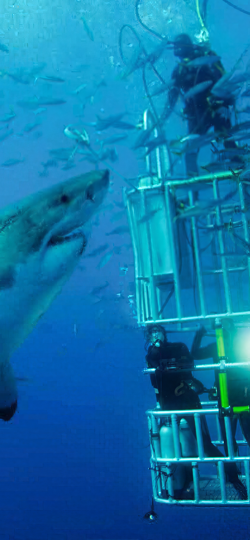 Students participating in an underwater Marine Careers demonstration